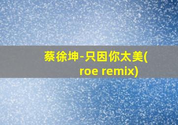 蔡徐坤-只因你太美(roe remix)